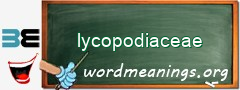 WordMeaning blackboard for lycopodiaceae